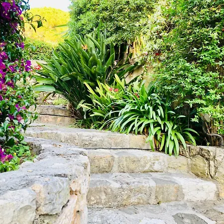 La Charmerette Cap D'antibes Appartement